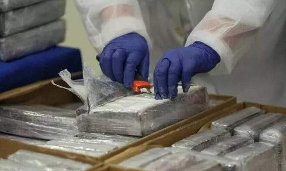 Πορτογαλία: Κατασχέθηκαν 1,3 τόνοι κοκαΐνης που "κρύβονταν" σε κατεψυγμένα ψάρια (Βίντεο)